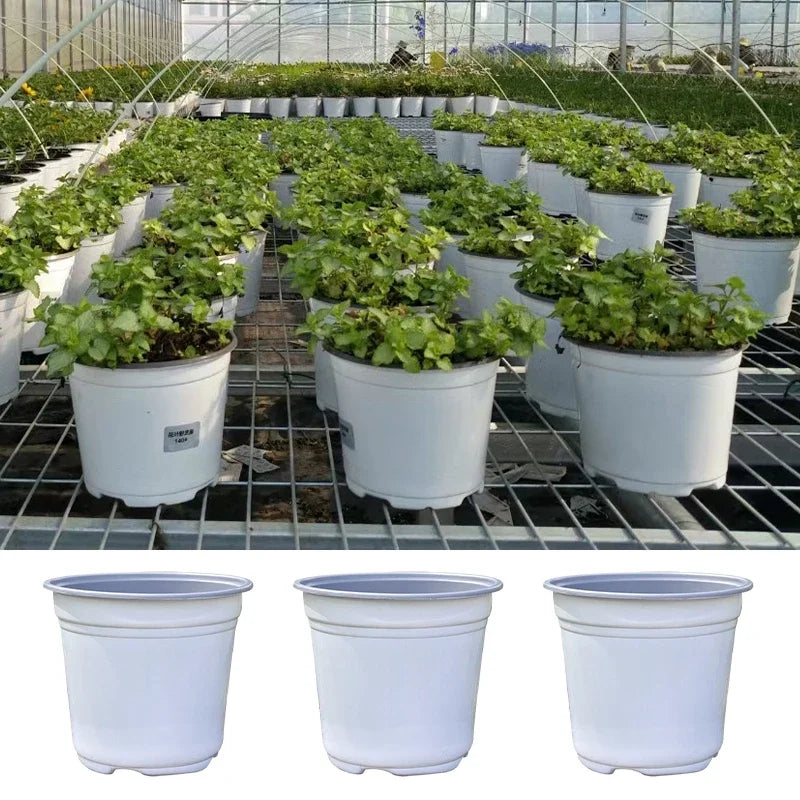 50Pcs Plastic Flowerpot Cultivation for Succulent Plant Small Flowerpot Simple Planting Seedling Pot Thickened Nursery Pots
