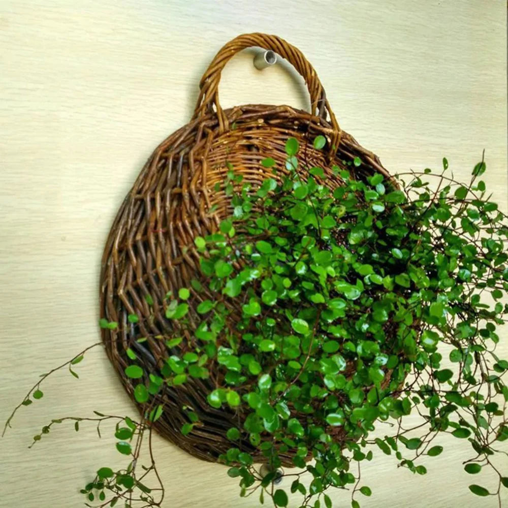 Wall Mount Rattan Basket Hanging Planter Basket Handmade Wicker Flower Pot Home Garden Decor Woven Rattan Vase Baskets