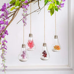 1pc Glass Hanging Planter, Light Bulb Shaped Hanging Air Plant Holders, Flower Pots Plant Containers Terrarium Hanging Glass