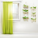 Test Tubes Glass Planter Wall Hanging Terrarium Container Flower Bud Vase with Wooden Holder for Propagation Hydroponic Plant