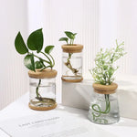 1PC Lazy Transparent FlowerPot Hydroponics Automatic Water Intake Plastic Flower Pot Groundless Plants Pot Flower Containers