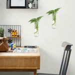 2pcs Wall mounted flower pots plant glass bottles perfect for home decoration gardens offices accessories tube containers