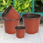 50Pcs Plastic Flowerpot Cultivation for Succulent Plant Small Flowerpot Simple Planting Seedling Pot Thickened Nursery Pots