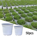 50Pcs Plastic Flowerpot Cultivation for Succulent Plant Small Flowerpot Simple Planting Seedling Pot Thickened Nursery Pots