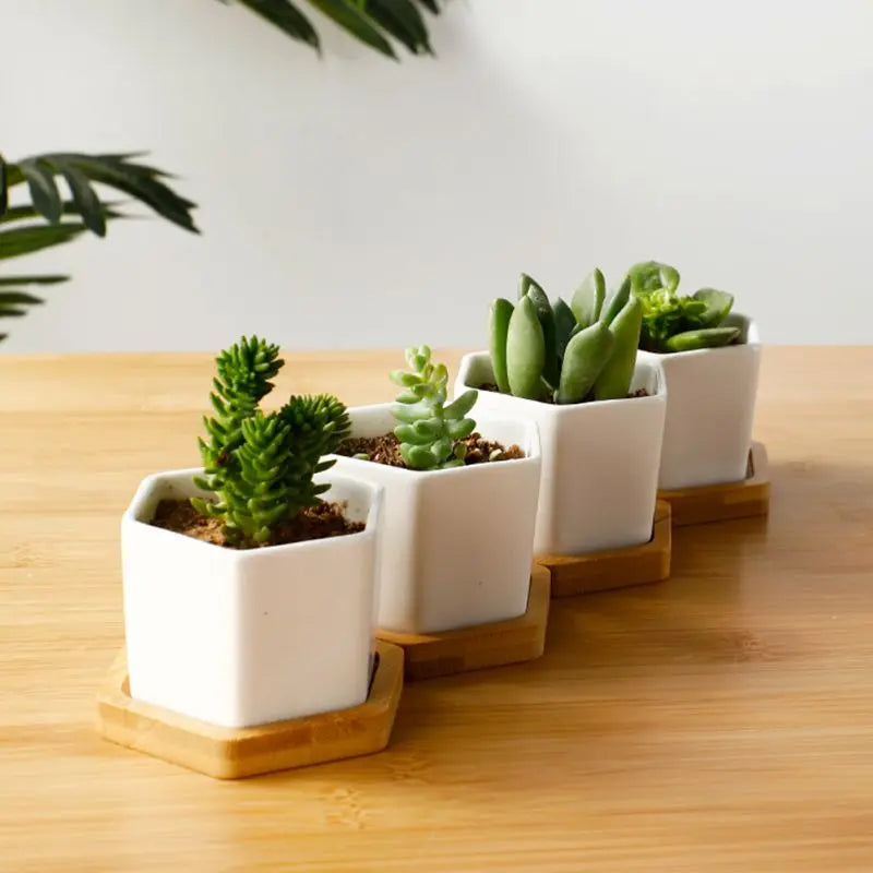 Ceramic Flowerpot White Geometric Ceramic Pot with Tray European Flowerpot Simple Succulent Plant Container Small Bonsai Pots