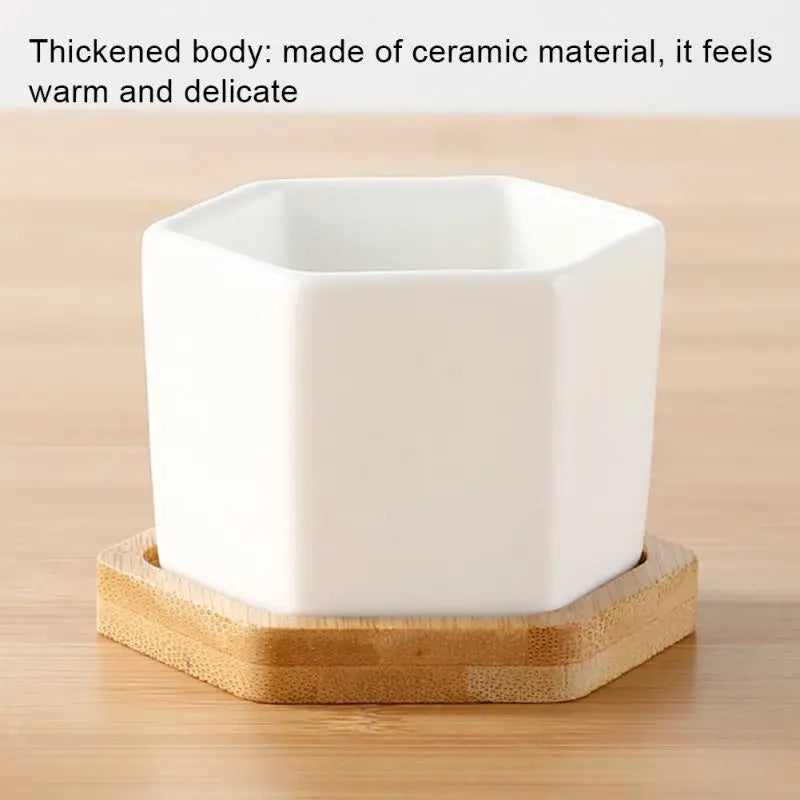 Ceramic Flowerpot White Geometric Ceramic Pot with Tray European Flowerpot Simple Succulent Plant Container Small Bonsai Pots
