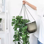 2Pcs Hydroponic Flowerpot Hanging Soil Culture Vase Self Watering Planter Thickened Plastic Flower Pot Nordic Style Plant Basin
