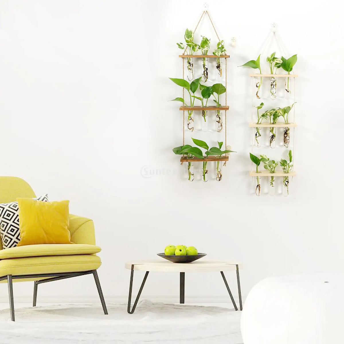 Test Tubes Glass Planter Wall Hanging Terrarium Container Flower Bud Vase with Wooden Holder for Propagation Hydroponic Plant