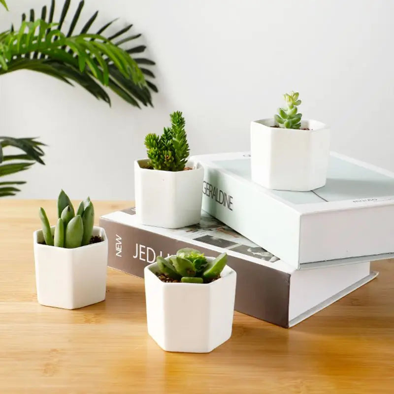 Ceramic Flowerpot White Geometric Ceramic Pot with Tray European Flowerpot Simple Succulent Plant Container Small Bonsai Pots