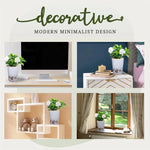 Lazy Hydroponic Flower Pot Automatic Water Absorbing Flowerpot Transparent Double Layer Plastic Resin Self Watering Plant Office