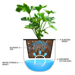 2Pcs Hydroponic Flowerpot Hanging Soil Culture Vase Self Watering Planter Thickened Plastic Flower Pot Nordic Style Plant Basin