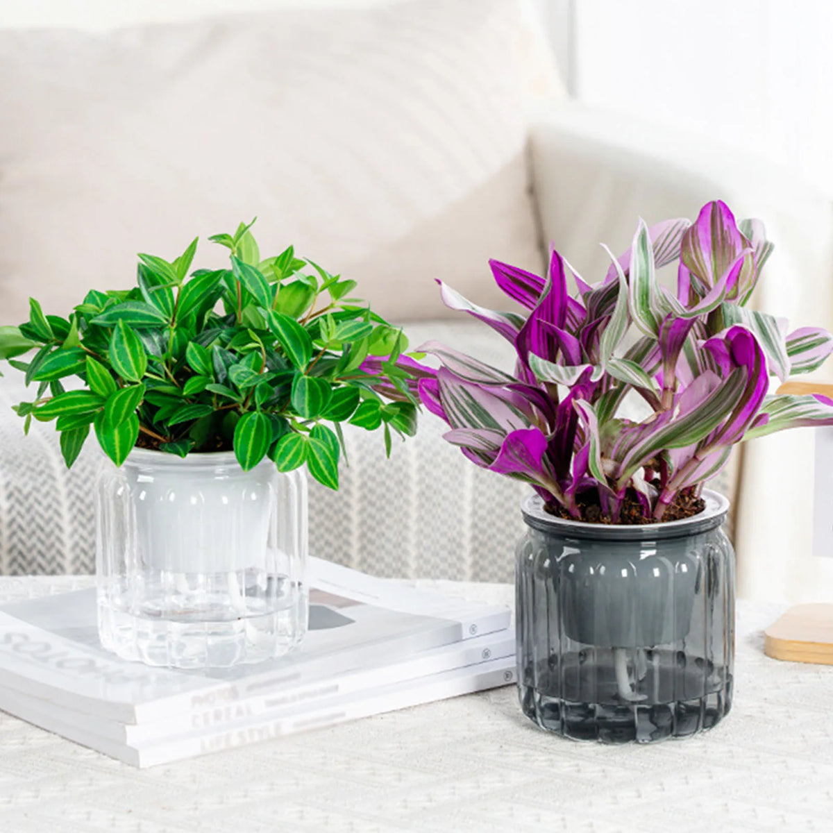 Automatic Water Absorbing Plant Pot Plastic Round Flower Pots for Hydroponic Flower Succulent Plant Pots Gardening Flower Pot