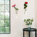 2pcs Wall mounted flower pots plant glass bottles perfect for home decoration gardens offices accessories tube containers